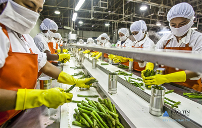 Dự án đầu tư 56 tỷ chế biến thực phẩm sạch