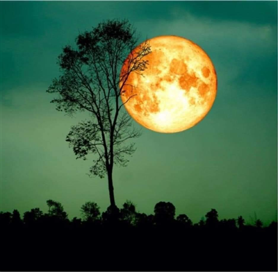 Mặt trăng tác động gì đến chúng ta?